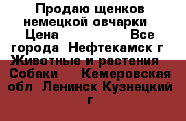 Продаю щенков немецкой овчарки › Цена ­ 5000-6000 - Все города, Нефтекамск г. Животные и растения » Собаки   . Кемеровская обл.,Ленинск-Кузнецкий г.